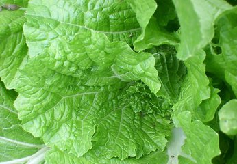 ��ײ����ʩ��⛷ʣ���ײ�ʩ��⛷ʼ��g(sh��)