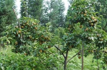 ��������a(b��)��΢�ʣ������a(b��)��΢�ʼ��g(sh��)