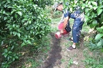 �߲˓Q��׷�զ�ã��ЙC�ʺͻ��ʻ�ʩ