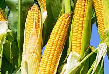 �ߜ؁��u������ˮ���Ầ����@�ӷ���