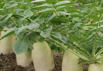 �}����������ʩ���