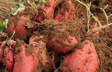 �t���@��ʩ�ʮa����