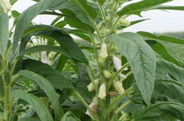 ֥��ʲô�r(sh��)�g׷����ѣ����׷����