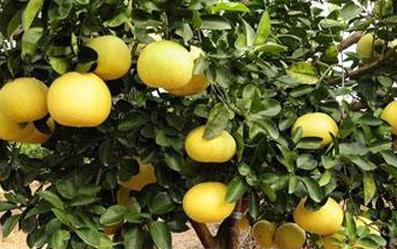 ʲô�ǹ���(sh��)���ӷʣ�����(sh��)���ӷʵ���Ҫ��