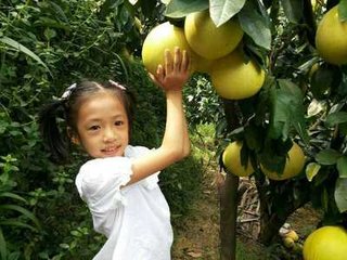 ������ôʩ�������a��