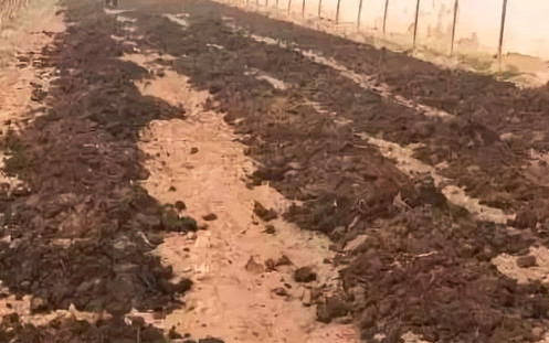 �߲˓Q��׷�զ�����ЙC�ʺͻ��ʻ�ʩ���@Щ���ܱ���˽���