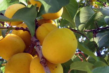 �Ә��ʩ�ʹ�ˮ�������g����Щ��