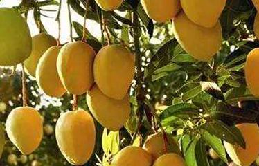 ���@ʩ������`�^(q��)