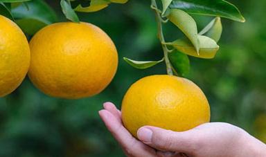 �Ș�(sh��)��ˮ�ʹ���Ҫ�c(di��n)����Щ��