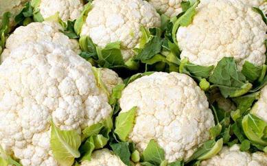 ��Ҭ��ʩ���֪Ҫ�c����Щ��