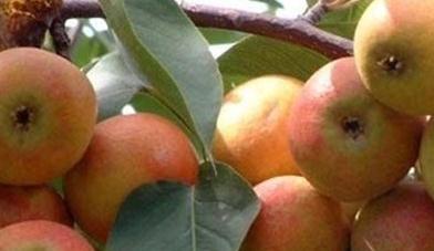 �Ϲ����������r��οƌWʩ��