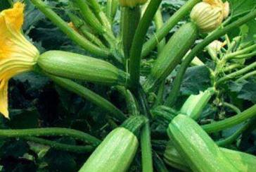 ���������Jԓ�x�����(l��i)�_ʩ�ʲźã�