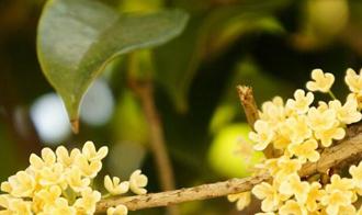 �𻨼�����ʩ����֪Ҫ�c