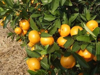 ����ʩ�ʼ��g