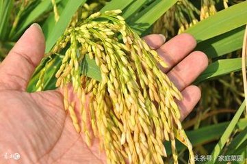 ˮ���~��ʩ����ôʩ�ã�ˮ���~��ʩ�ʵ�֪�R