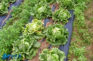 �Nֲ������ôʩ��