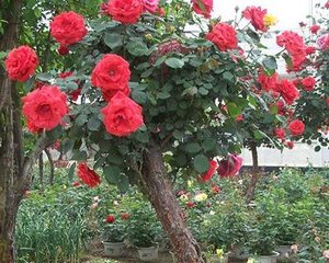 �¼���ʩ�ʷ��������ӽo�¼���ʩ��