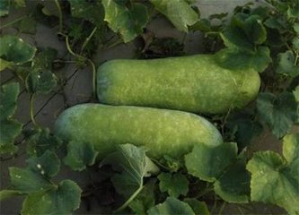 ��������ʩ��