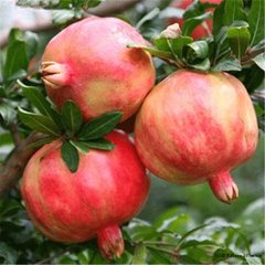 �Թ������ЙC(j��)�ʲ��û������]��ô����