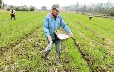 ���N����ʩ�����ҊЧ����Ч�ڕr�g��