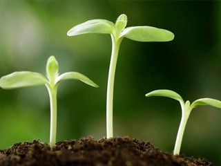 ��������A�������܁y��