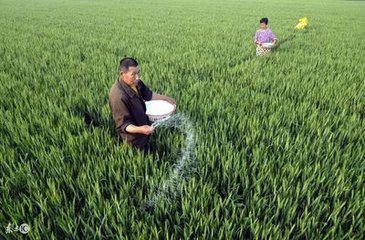 �������v�������e��������̝�ڝ�