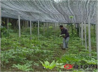 ��ˎ��ʩ��ǧ�f����ʩ�@���N���ϣ�