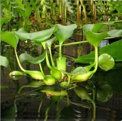 �����ˮ���J������ˎ�������ʣ��Ƀ���ˮ�|