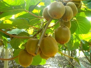 ����Ҫ���J�����������~�����g�Ź�ϴ�ʣ����ͷ��ϝ��