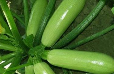 �����J��ôʩ�ʲ��ܸ߮a�������J�ƌWʩ�ʼ��g