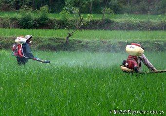 �r(n��ng)ˎ����Խ��Խ�࣬��η�Ч�sԽ��Խ�