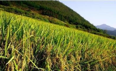 ˮ����β����]ʹ�ÏͺϷʣ�