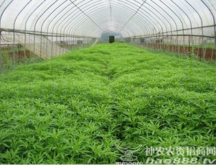 ȸ����λ��ՏU�裿�����˽���~����