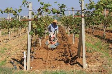 ˮ�ܷʵ����_ʹ�÷���