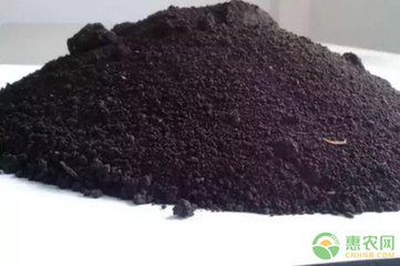 �����е��к����|����Σ����ʲô��