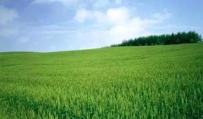 ��ֲ���~��ʣ��@7���r����Ч���ź���