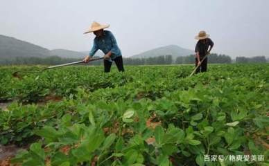 �ƌWʩ�ÿ����ʵķ���