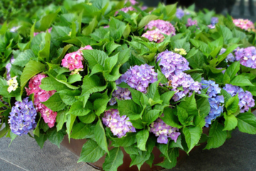 ������_�Ľo����ʩ�ʣ�����ʩ������Щ����