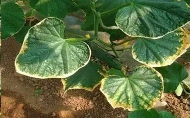 ���ʺ�����ô�a���ģ���ʲô�Y�