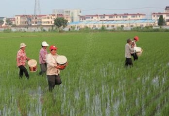 �＾ʩ�������׷���8���e�`��