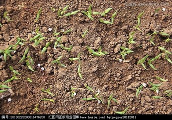 �������ˮ�ʹ�������