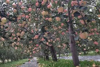 ����(sh��)��ʩ�����ˣ�����ҲҪ��ʩ