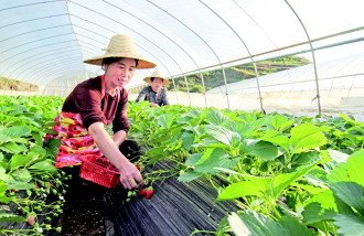 ���r�@�ӽo���׷�ʣ����������ʸߣ����ڿ�ϸ߮a