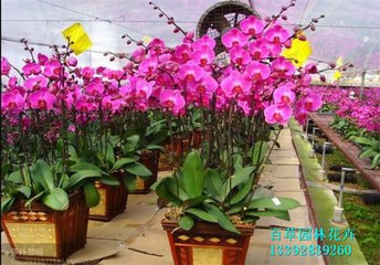 �����mʩ��ע�����(xi��ng)