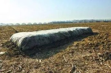 ��ʲô��Ʒ�ЙC(j��)�ʱȼS�ʺã�