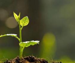 �������ס�⛡���Ҫ�أ������͸�ˆ�