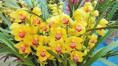 ���Ի����л�����ԓ��ôʩ��