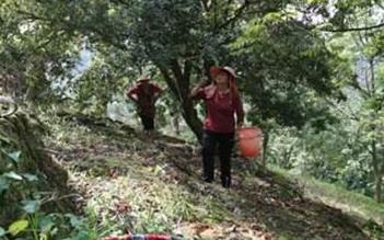 ��÷ʩ�ʼ��gҪ�c���ɹ���ԓ��ôʩ�ʣ�