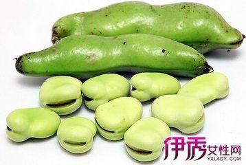 �Q��ʩ�ʷ���