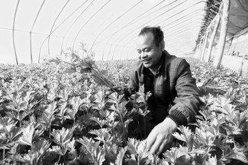 ��������׷�ʼ��g(sh��)��B